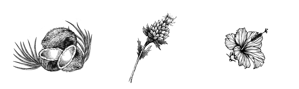 BW - Natural Aroma Therapy BW - Natural Aroma Therapy